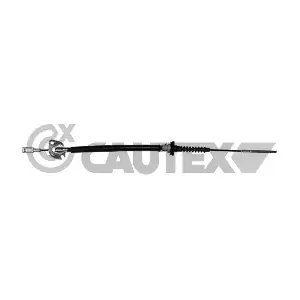 018946 CAUTEX