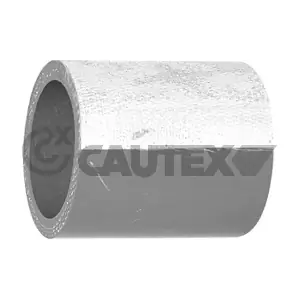 754535 CAUTEX