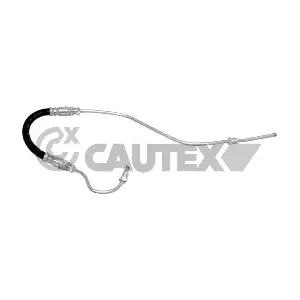755993 CAUTEX