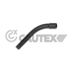 481130 CAUTEX