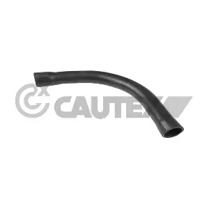 206012 CAUTEX