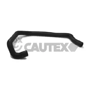 036198 CAUTEX