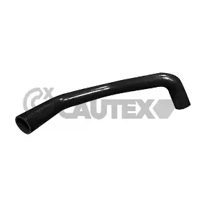 026845 CAUTEX