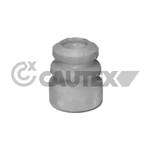 461333 CAUTEX