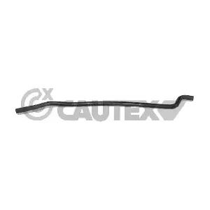 031140 CAUTEX