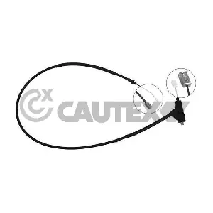 038220 CAUTEX