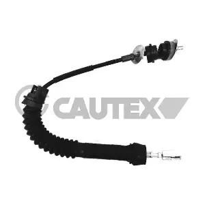 038324 CAUTEX