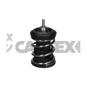 774590 CAUTEX