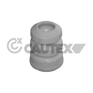 031486 CAUTEX
