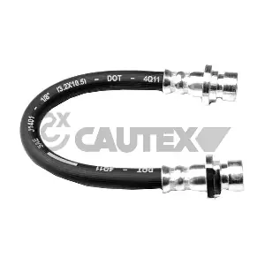 756078 CAUTEX