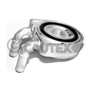 031435 CAUTEX