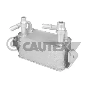 771879 CAUTEX