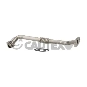 771639 CAUTEX
