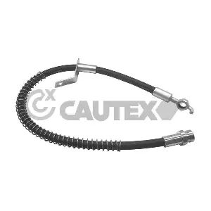 756068 CAUTEX