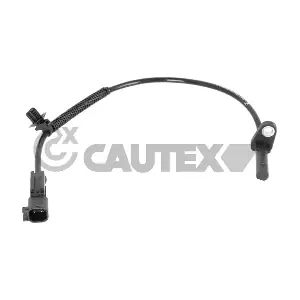 772531 CAUTEX