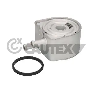 031519 CAUTEX