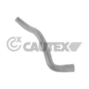 770434 CAUTEX