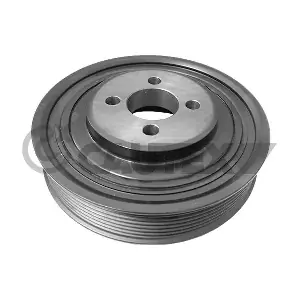 010976 CAUTEX