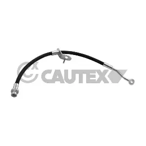 81049 CAUTEX