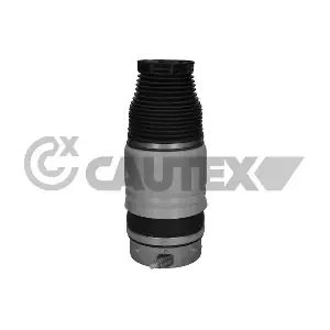 752910 CAUTEX