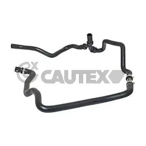 086761 CAUTEX