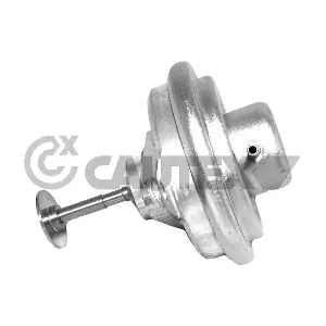 88064 CAUTEX