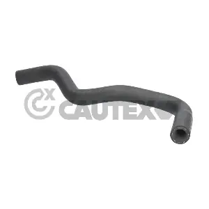 026321 CAUTEX