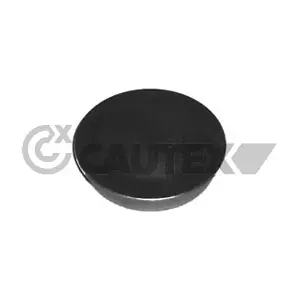951023 CAUTEX