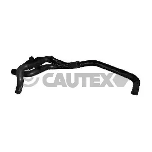 011376 CAUTEX