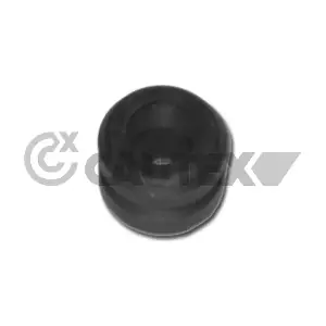 480542 CAUTEX