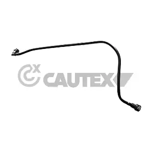 771355 CAUTEX
