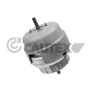 756271 CAUTEX