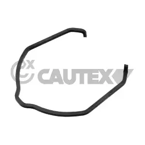 774506 CAUTEX