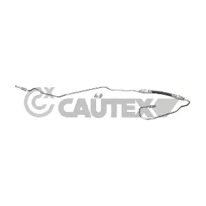 777912 CAUTEX