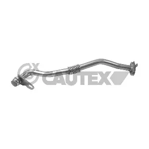 770011 CAUTEX