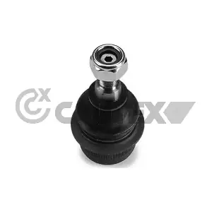 755038 CAUTEX
