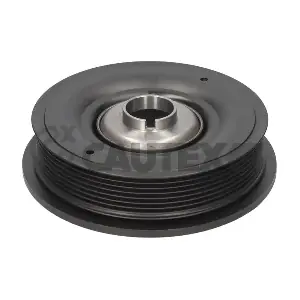 CAUTEX 020951