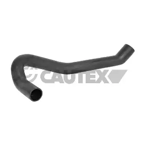 026838 CAUTEX