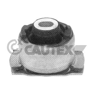 020532 CAUTEX