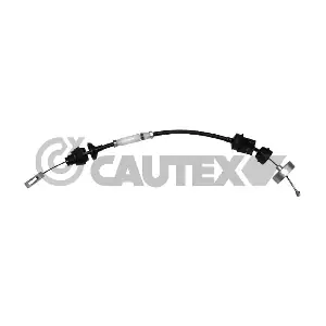 038294 CAUTEX