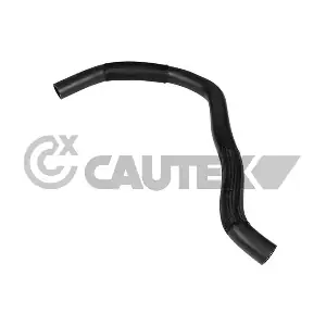 754215 CAUTEX