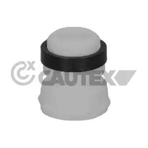 750350 CAUTEX