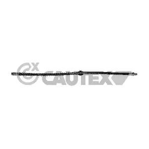031276 CAUTEX
