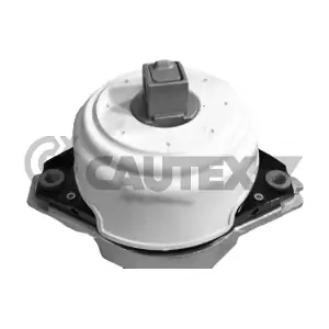 CAUTEX 771553
