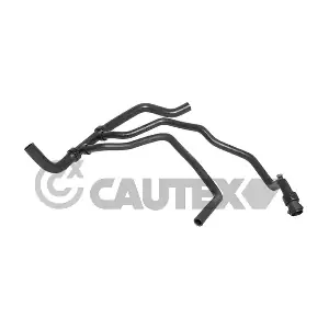 481212 CAUTEX