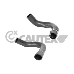 036774 CAUTEX