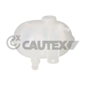 955380 CAUTEX