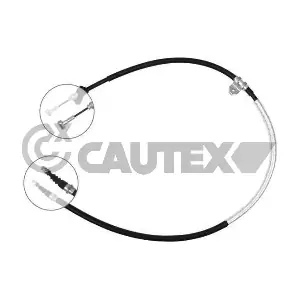 761652 CAUTEX