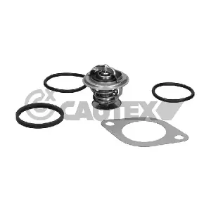 CAUTEX 770187
