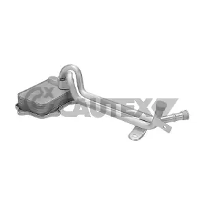 462528 CAUTEX